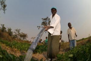Farmers In Zimbabwe