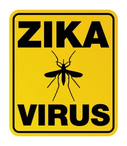 A yellow warning sign with Zika Virus and mosquito silhouette. Vector EPS 10 available.
