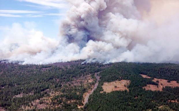 Eiler Fire burning Old Station, California.  (AP Photo/U.S. Forest Service)