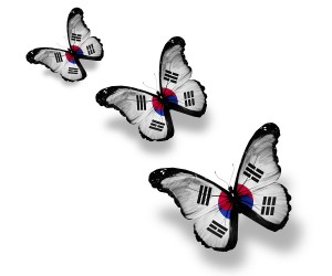 Three South Korea flag butterflies, isolated on white