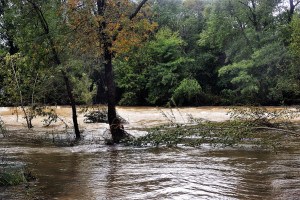 The Vidourle River In Flood After Heavy Rains