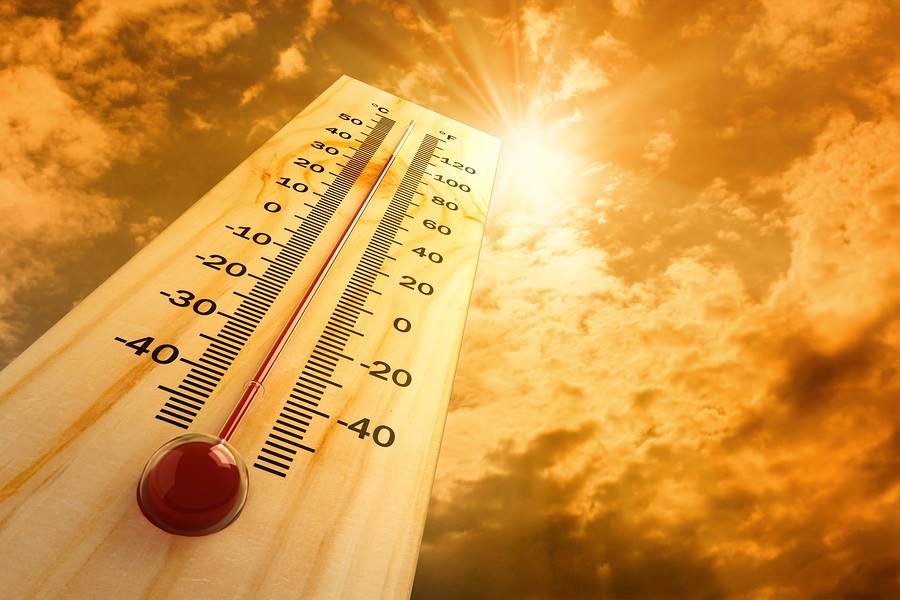 Europe's Heatwaves Expose Insurance Gap as Business Losses Mount