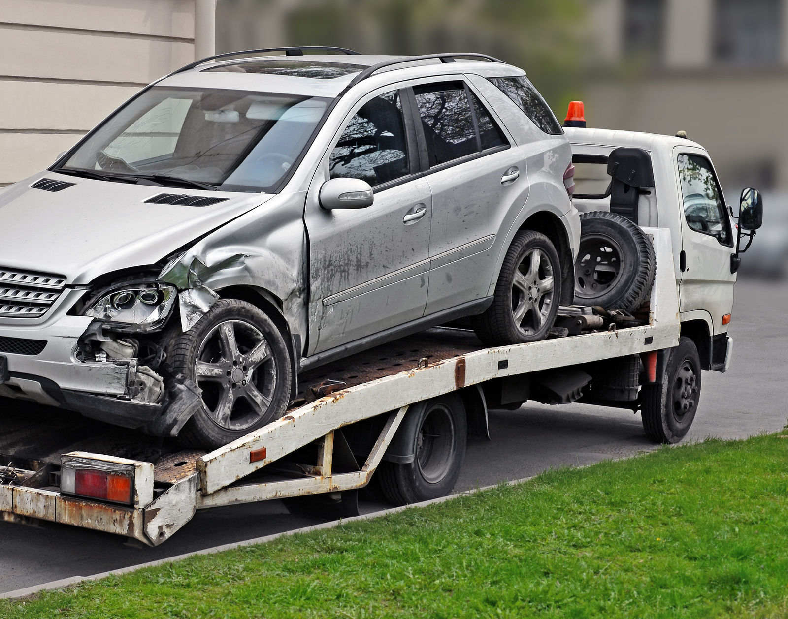 Animals Cause More Than 350,000 Crashes Per Year: Report - Carrier Management